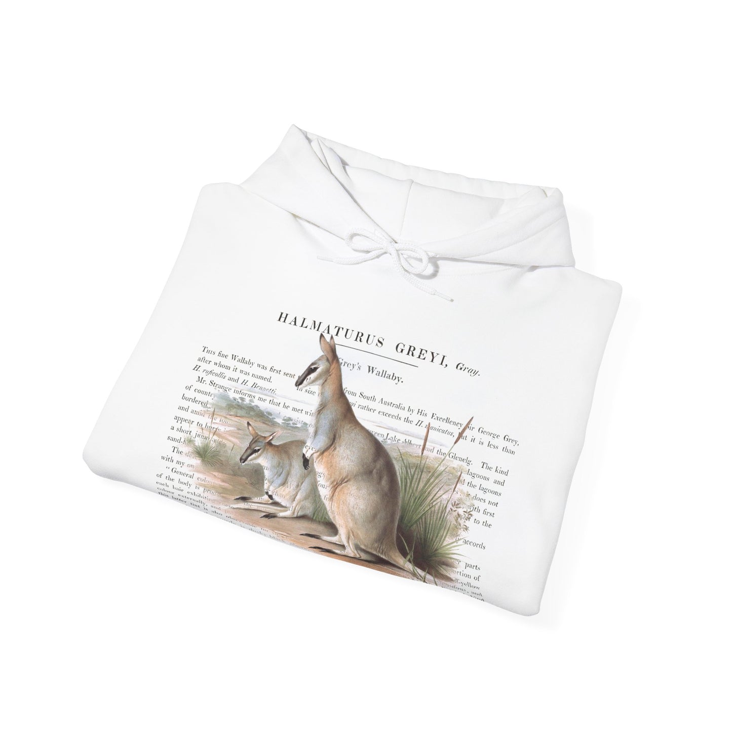 Cute Wallaby Nature Hoodie