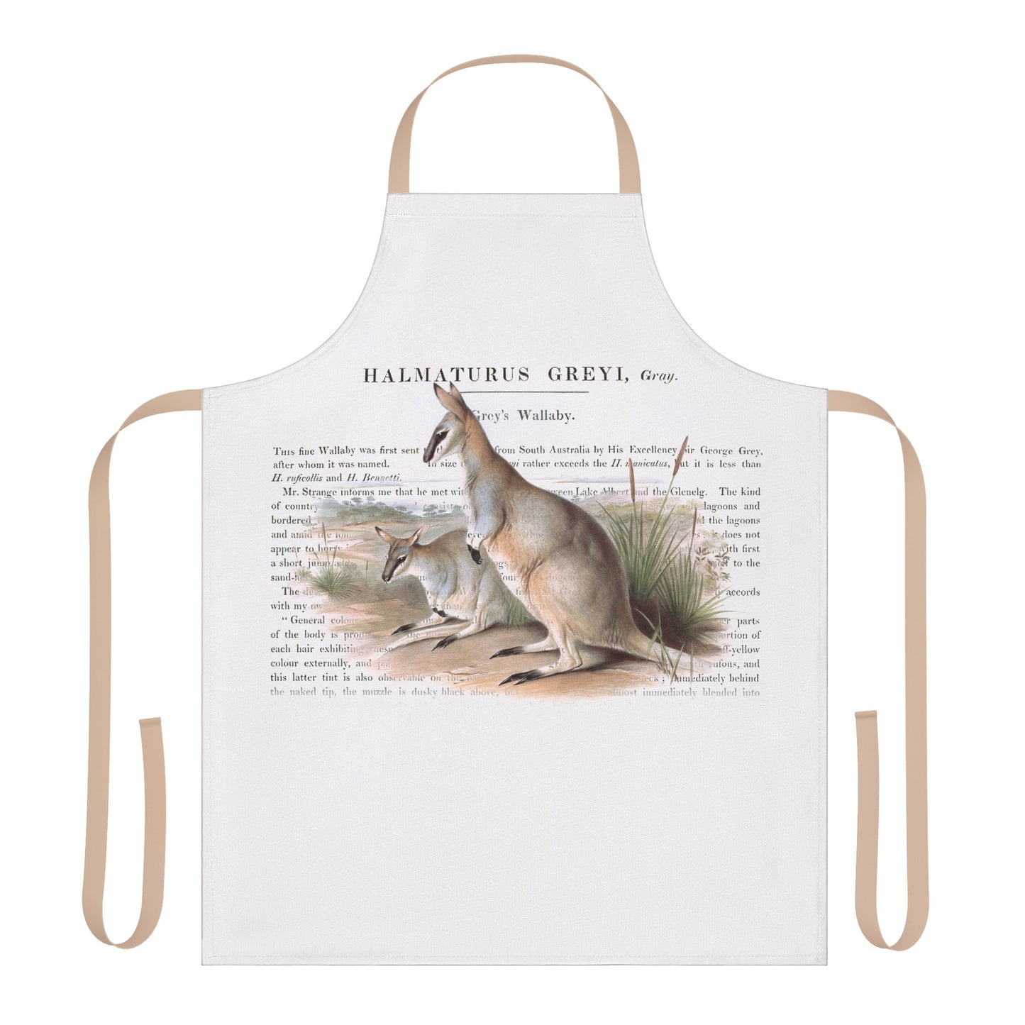 Cute Wallaby Nature Apron