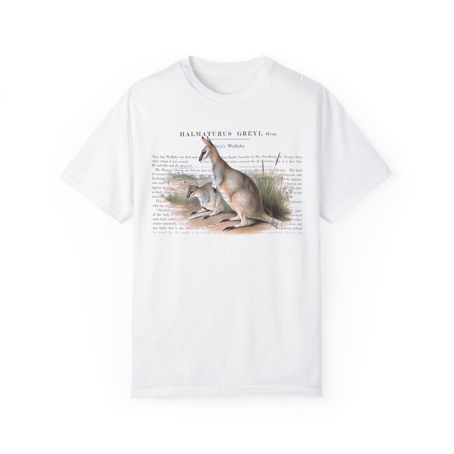 Cute Wallaby Nature T-shirt