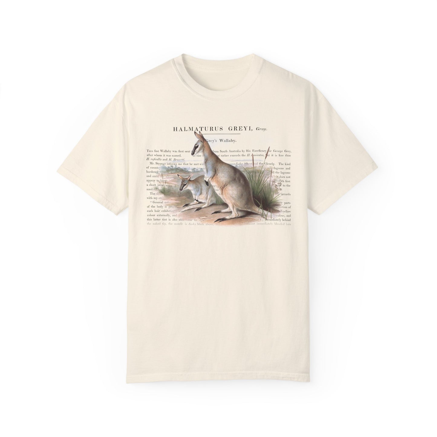 Cute Wallaby Nature T-shirt
