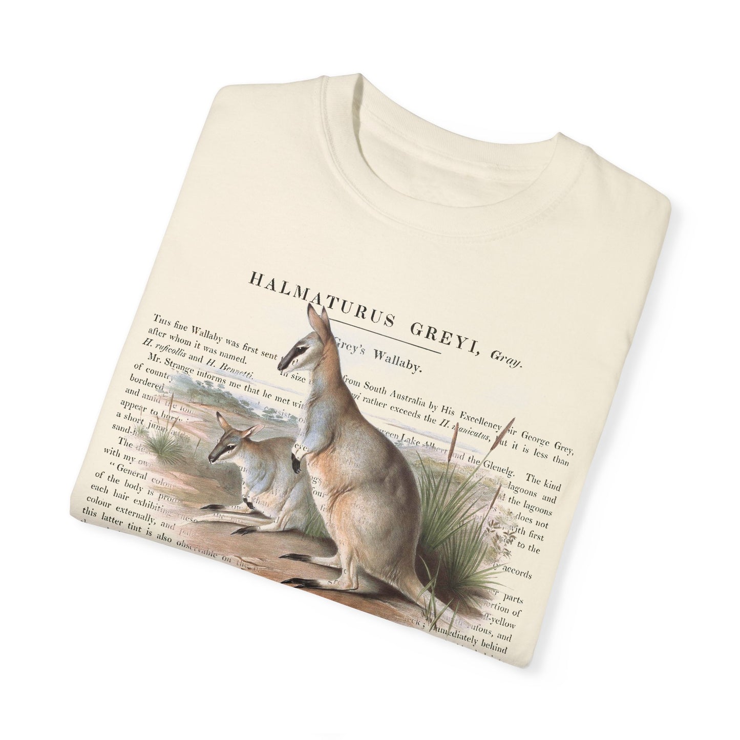 Cute Wallaby Nature T-shirt